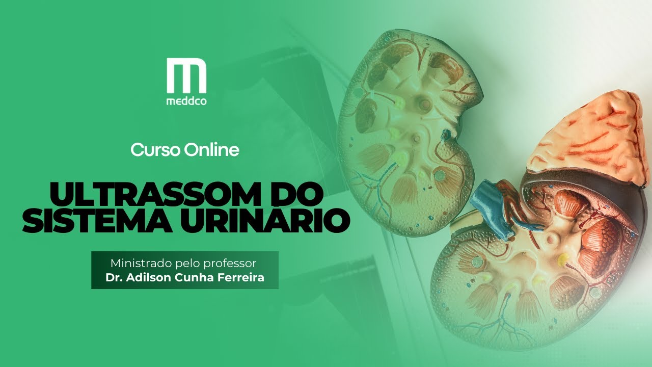 Curso de Ultrassom USG do Sistema Urinário