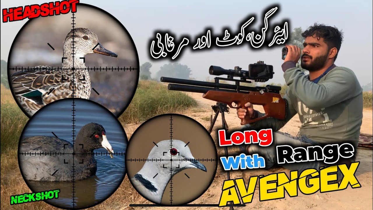 Duck,Coot&Doves Hunting With AirVenturi AvengeX X1 AAW|Duck Hunting On Long Range|AirHunter PK
