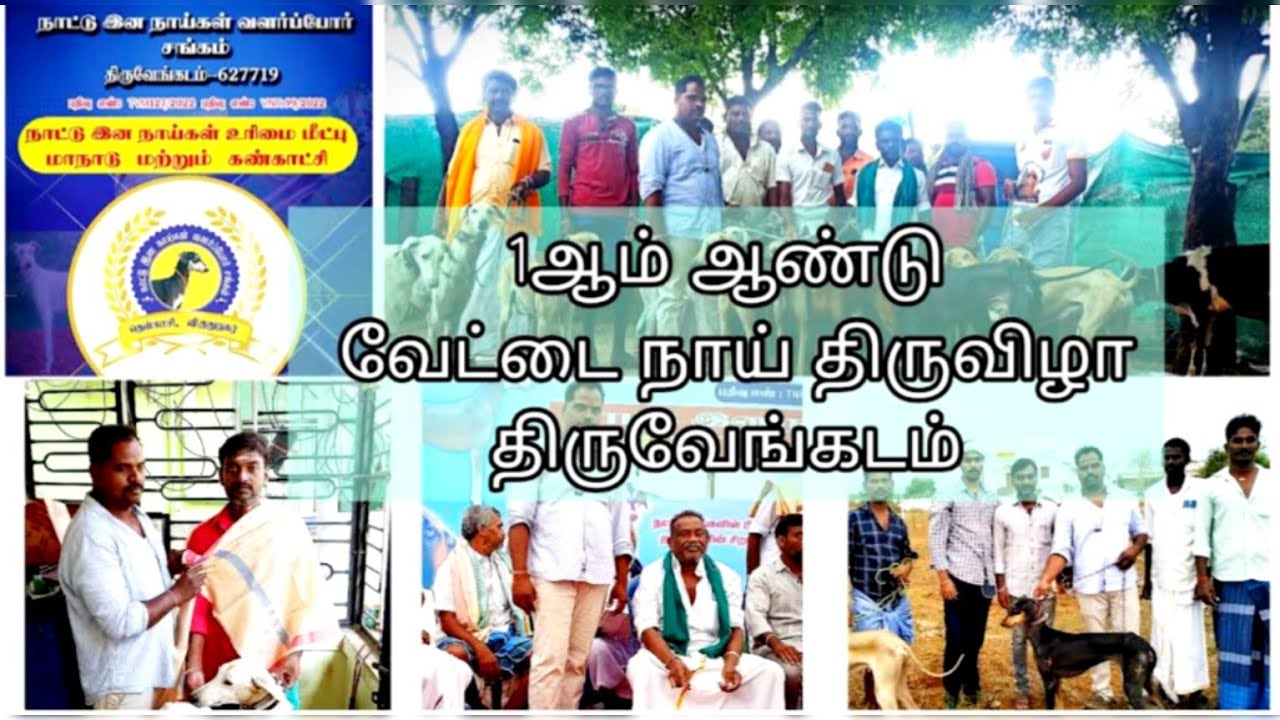 முதலாமாண்டு வேட்டை நாய்கள் திருவிழா விருதுநகர் மாவட்டம் திருவேங்கடம் #dogshow#tenkasi #virudhunagar