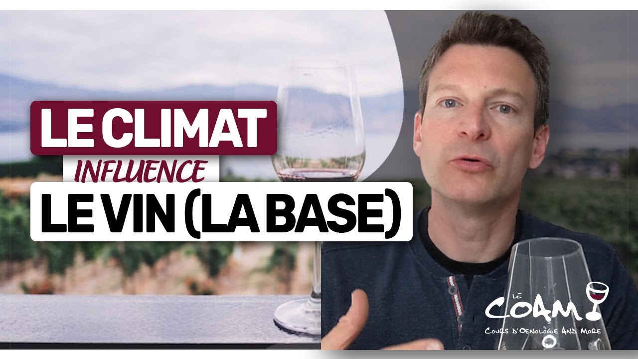 Comment le CLIMAT influence le VIN ?