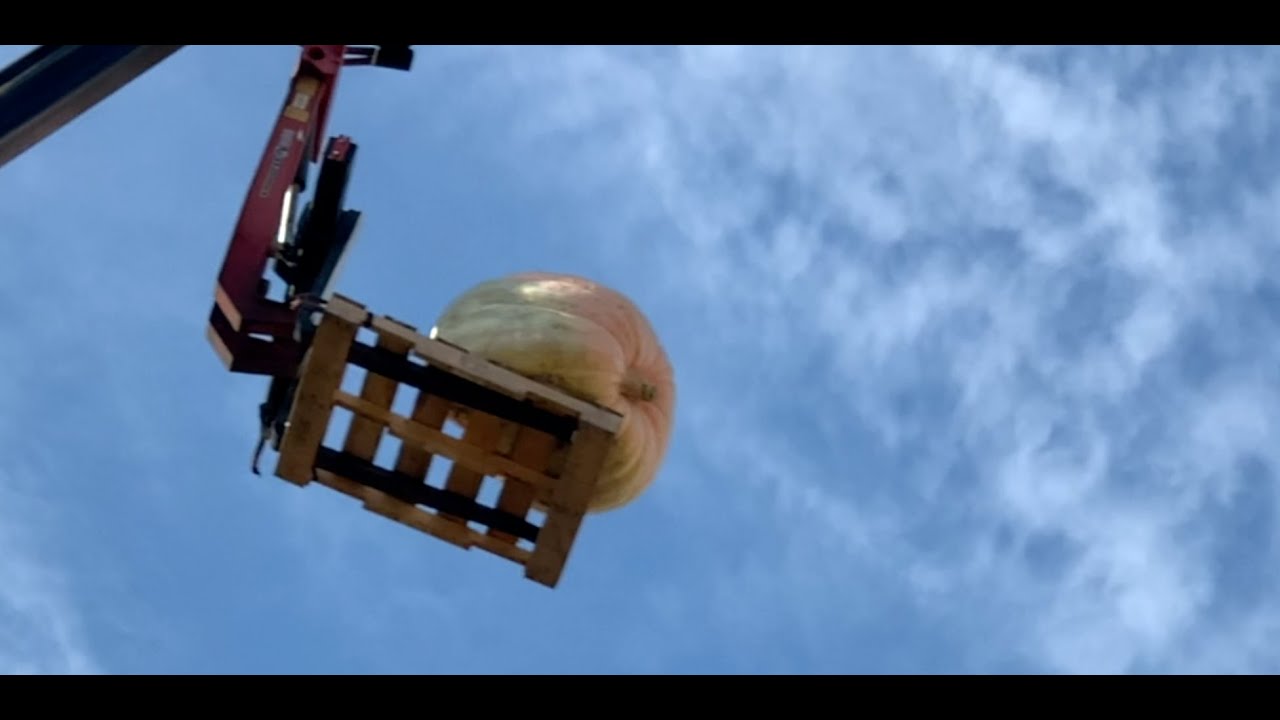 Pumpkin Drop Compilation