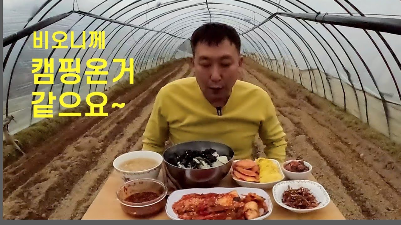 시골먹방  곤드레밥 비오는날 하우스밭에서 먹으니 핵존맛 JMT 시골집밥먹방 A country house mukbang
