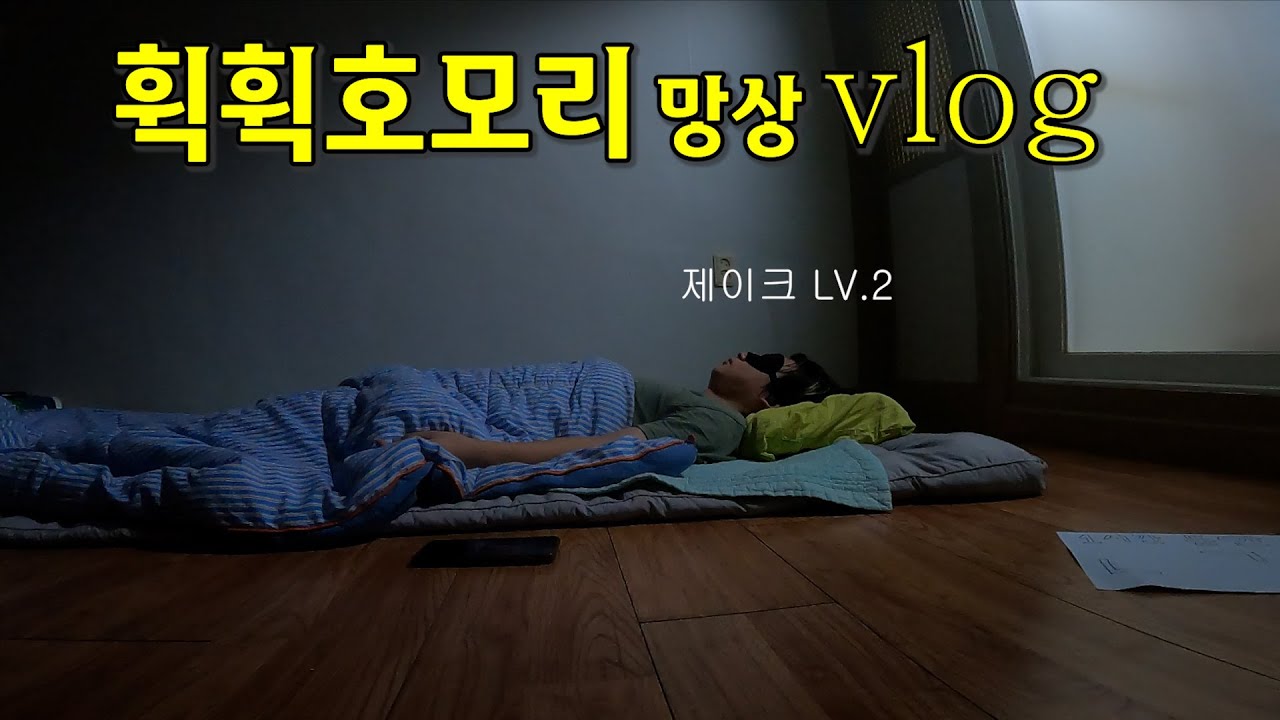 휙휙호모리의 망상 브이로그
