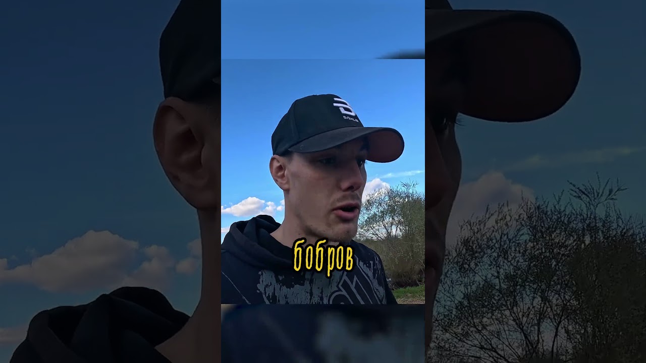 Вред от бобров / что они делают?