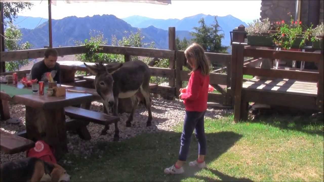 Funivie del Lago di Como - Margno - Pian delle Betulle