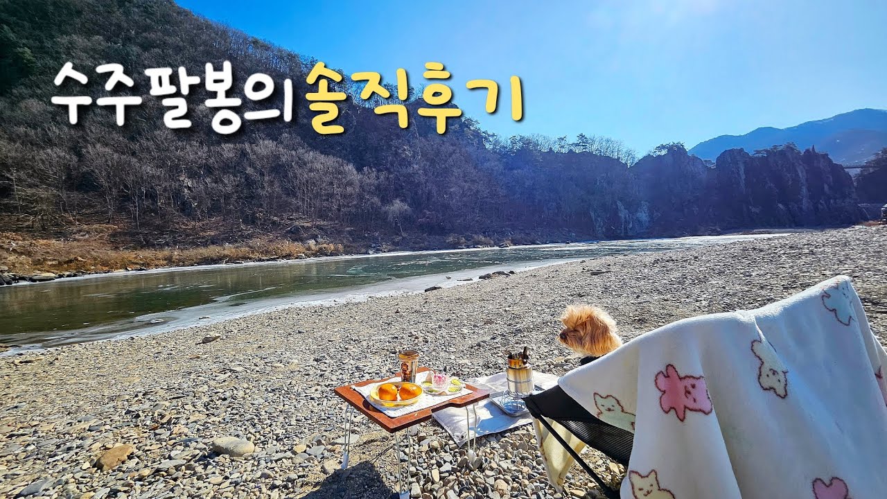 [차박 현실 ]여자 혼자 노지 차박 괜찮을까요? / 애견동반 캠핑/ 렉스턴칸세미캠핑카 