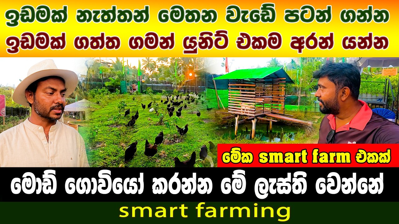 කාබනික වගාව කරන ගමන් මොඩ් ගොවියෝ හදන්න මට ඔනි 🐓🐐🦆🕊 | how to make vermicompost | smart farming