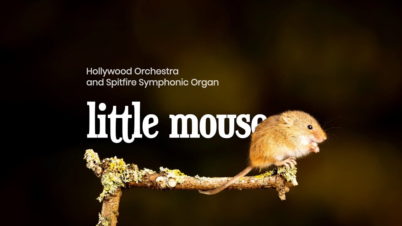 Composing with Hollywood Orchestra Opus Edition and Spitfire | Little Mouse - Original Composition