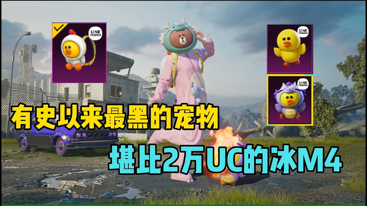 这一次新推出的宠物堪比我当初20000点卷的冰M4，我已经哭晕了！