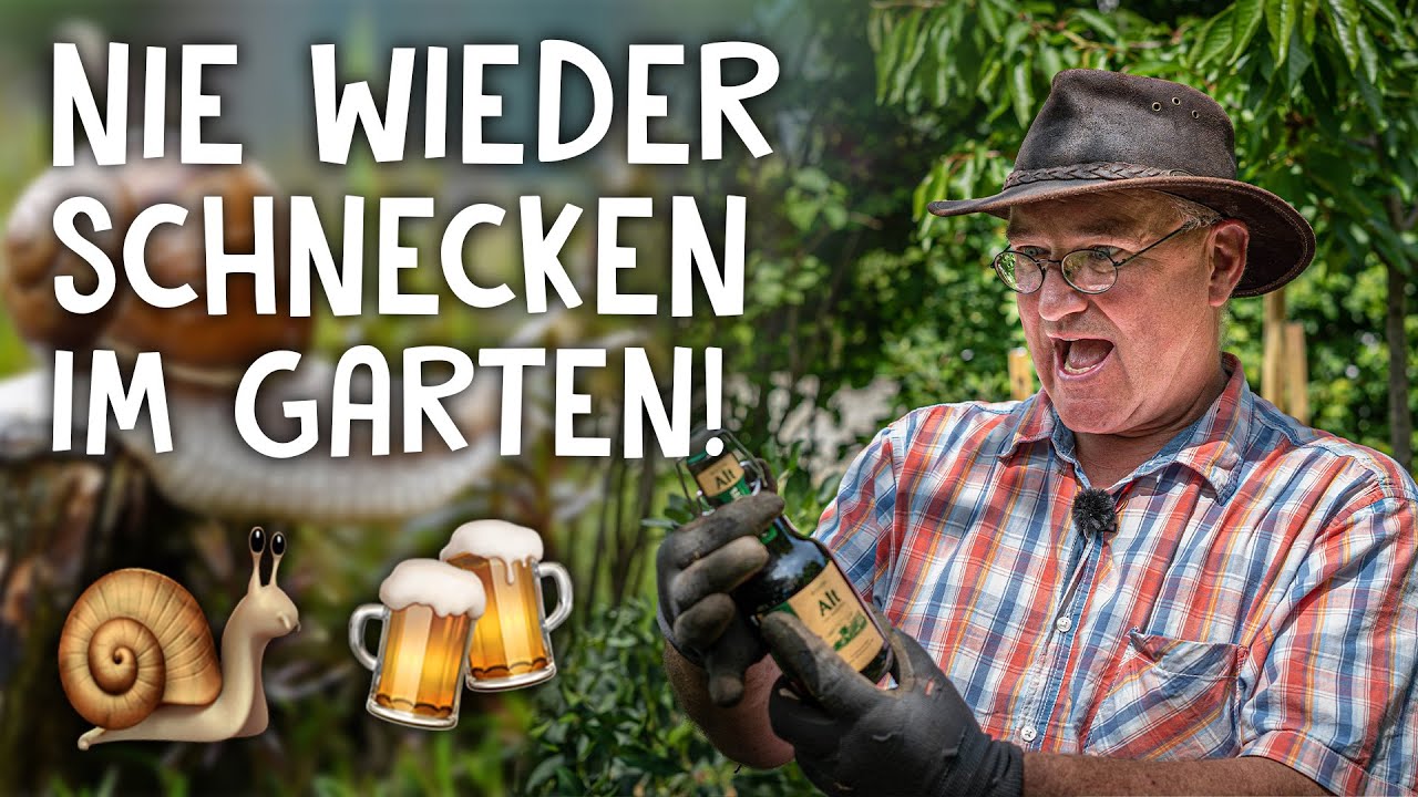 Schneckenfalle selber bauen! 🐌 - Schnecken bekämpfen mit Bierfalle