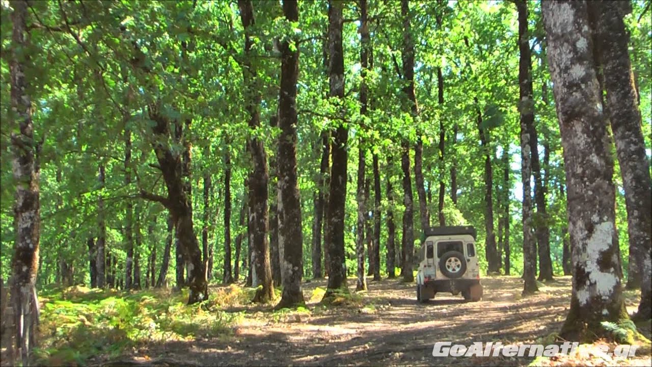 GoAlternative Ladonas River - Foloi Forest