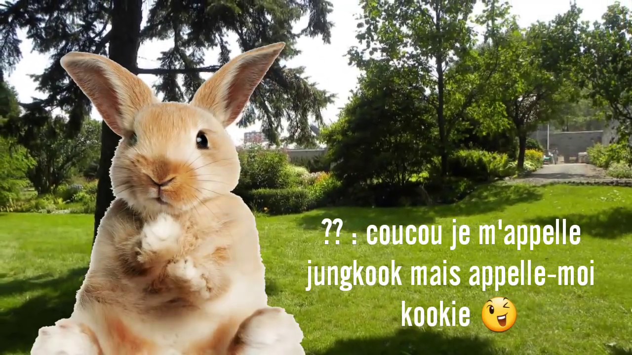 [BTS FF FR] Chapitre 1-Sortilège