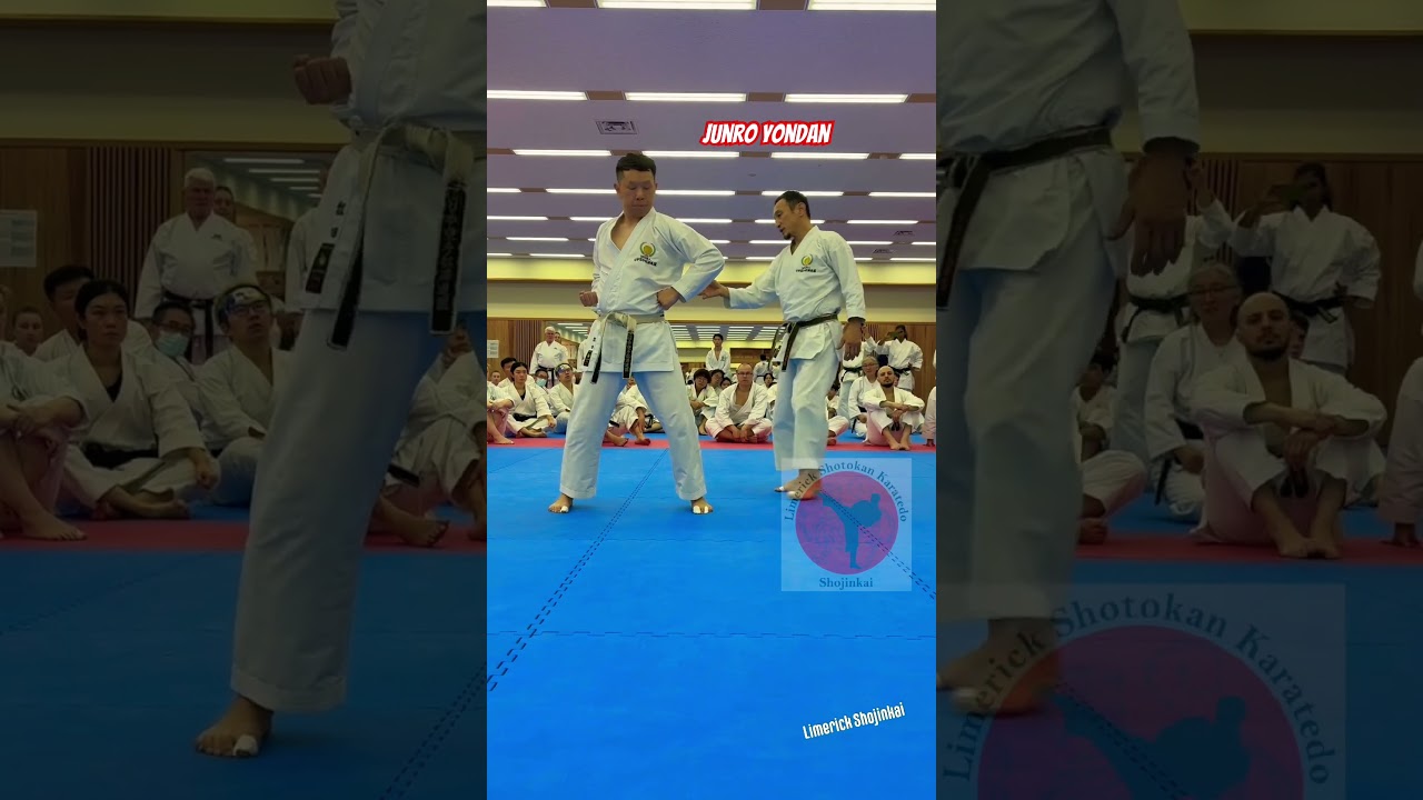 ⚠️KARATE KATA - SHOTOKAN