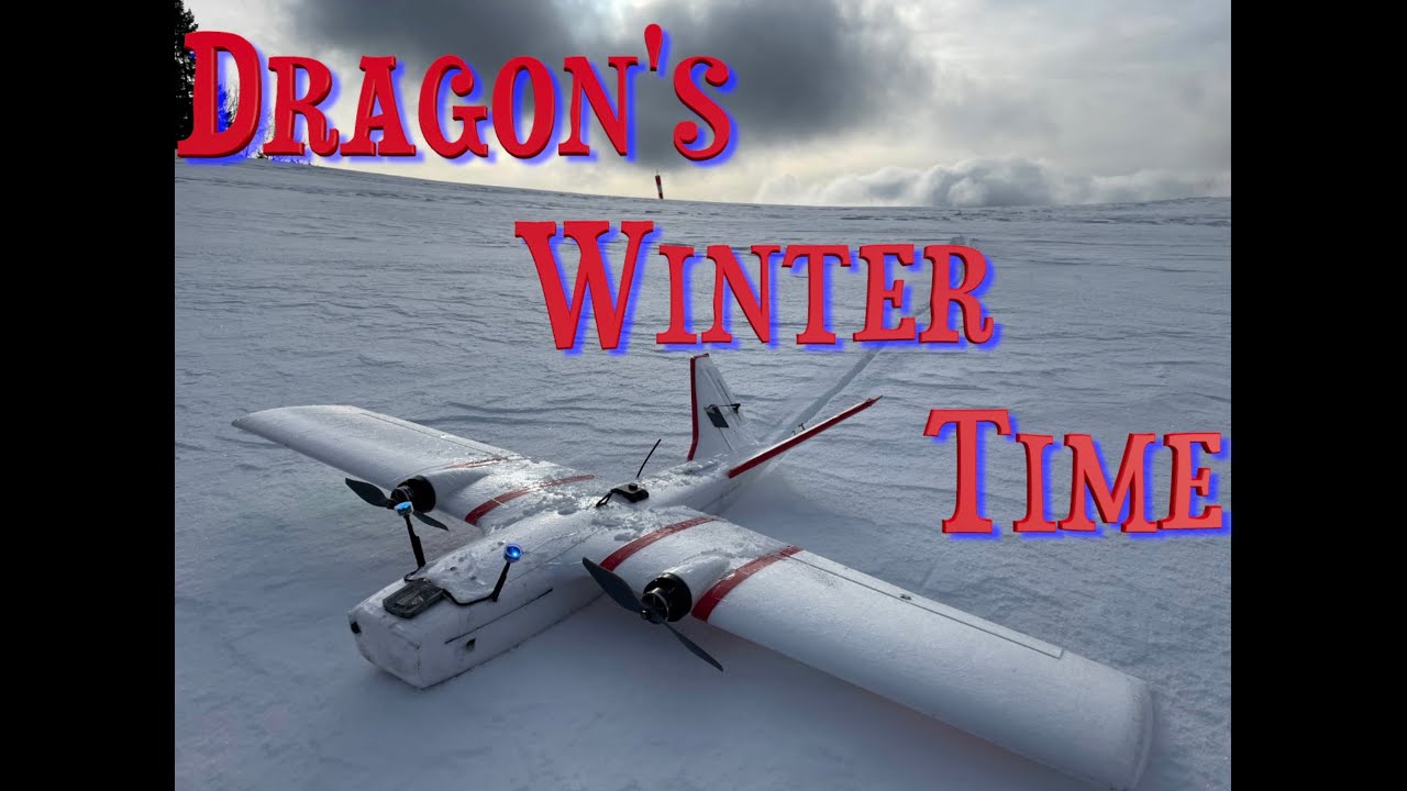 Reptile Dragon 2 winter time