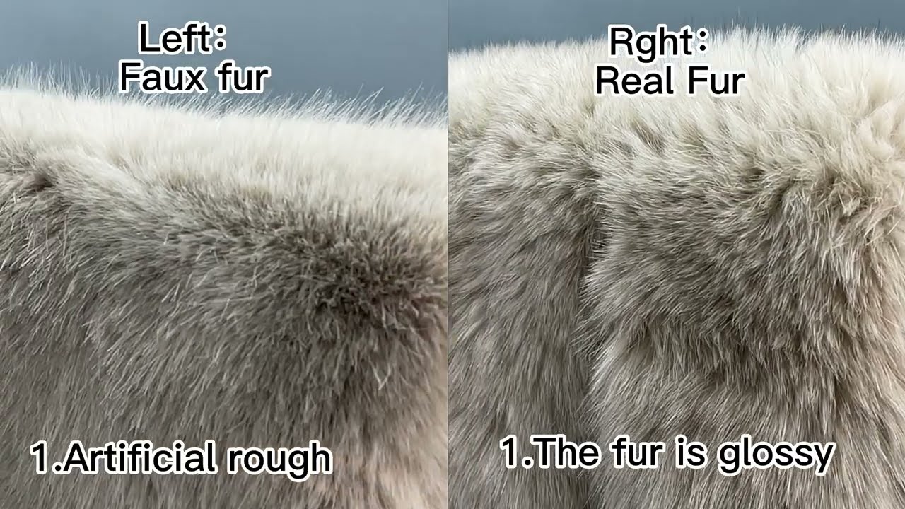 The Difference Between Real Fur and Fake Fur#fur #foxfur #realfur #fauxfur #factory