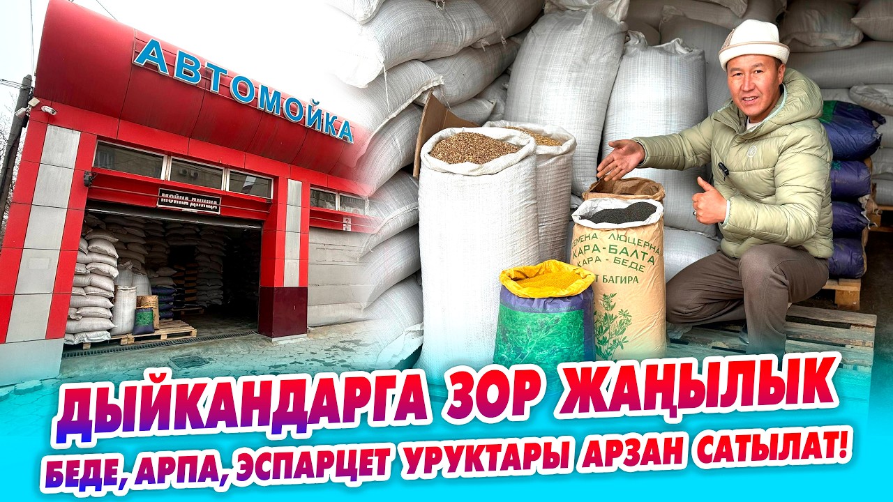 Ишеничтүү БЕДЕ, АРПА, ЭСПАРЦЕТ уруктары САТЫЛАТ!