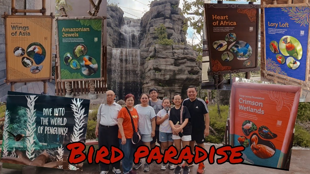 Bird Paradise | Full Day Park Review! #mandaiwildlifereserve #birdparadise #zoo #discoversingapore
