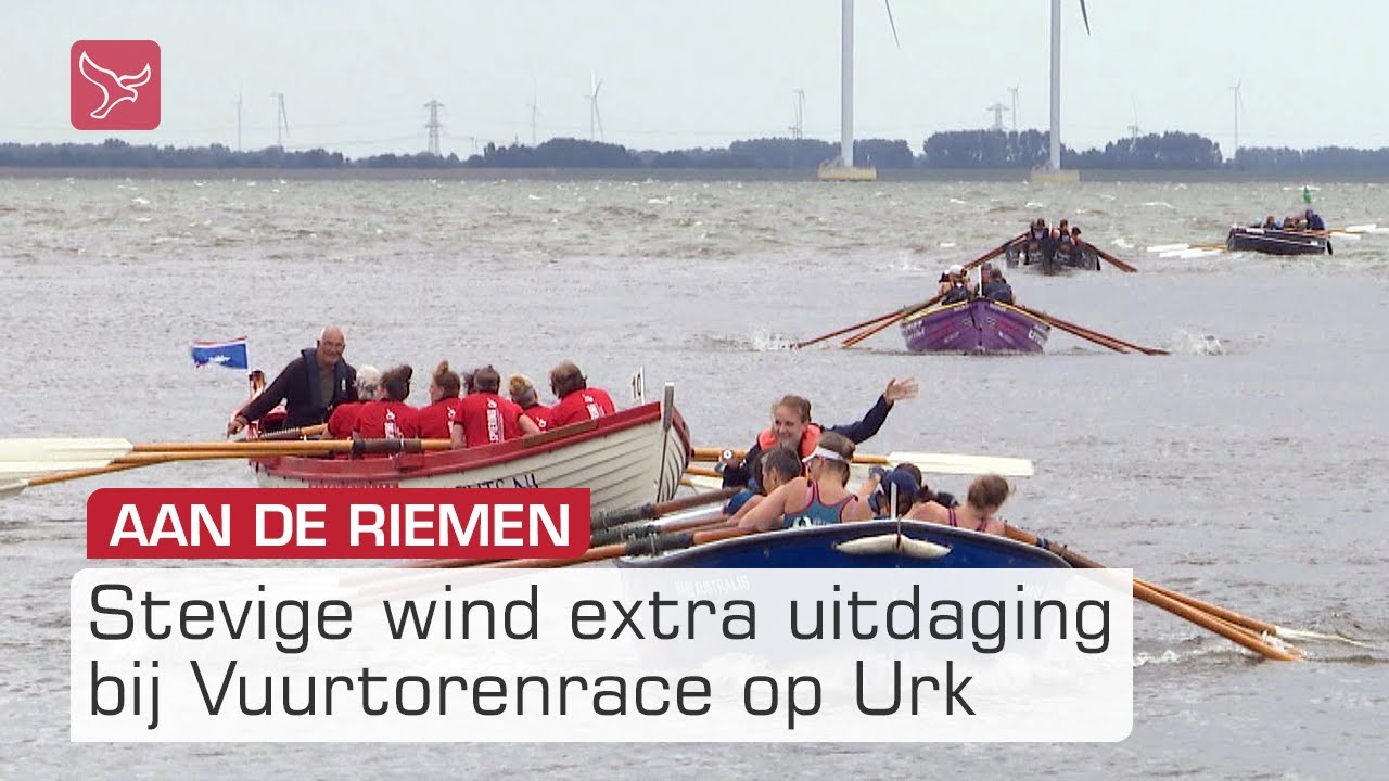 Roeiers aan de riemen tijdens Vuurtorenrace | Omroep Flevoland