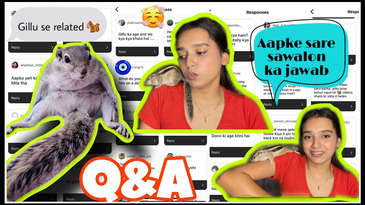 Q&A video about gillu PART-1 🐿️🧿 || Aapke sare sawalon ka jawab || Ek squirrel pet kaise banta hai?