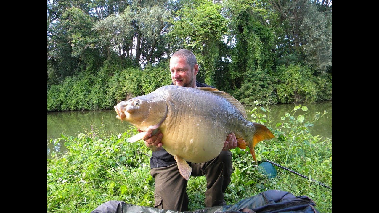 Pêche de la carpe dans le canal de la Somme juin 2014 [ épisode 6 ]