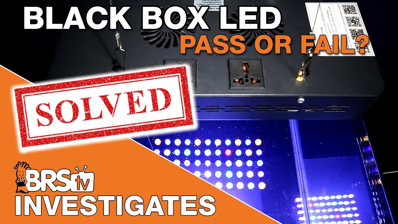 Finally testing the Black Box LED | BRStv Investigates