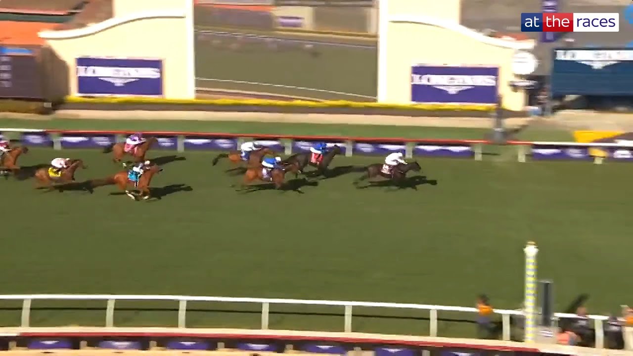 УИЛЛИ МАЛЛИНС покоряет Дель Мар! 🇮🇪 | Ethical Diamond бьёт рекорды на турнире Breeders' Cup Turf