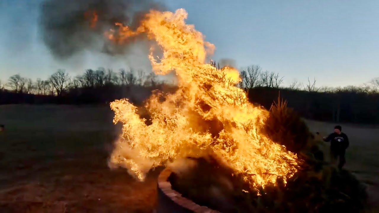 Сжигание 12 рождественских елок