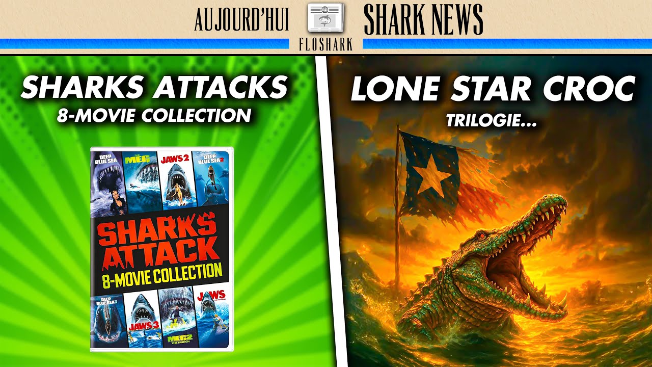 SHARK NEWS - Nouveaux coffret de films de REQUINS, une trilogie pour LONE STAR CROC