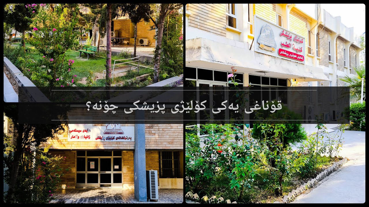 قۆناغی یەکی کۆلێژی پزیشکی(طوب عام)،پێویستە چی بزانین لەسەر قۆناغی یەکی کۆلێژی پزیشکی گشتی؟