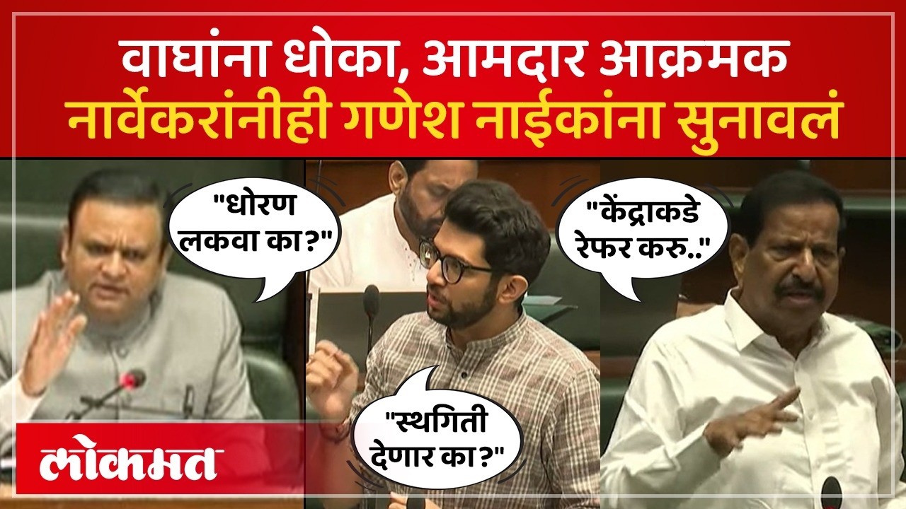 वनमंत्र्यांनी विधानसभा अध्यक्षांनी फटकारलं | Rahul Narwekar Slams Forest Minister Ganesh Naik | SA4