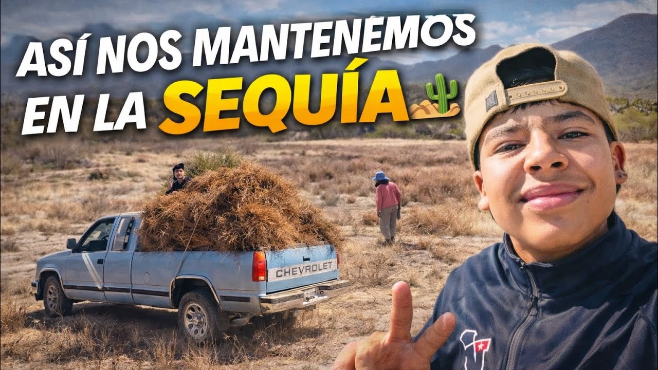 Así mantenemos los animales y ya estamos en tiempo 🏜️ 🐐(suscríbete para más videos del rancho) 🏜️🎥🤠