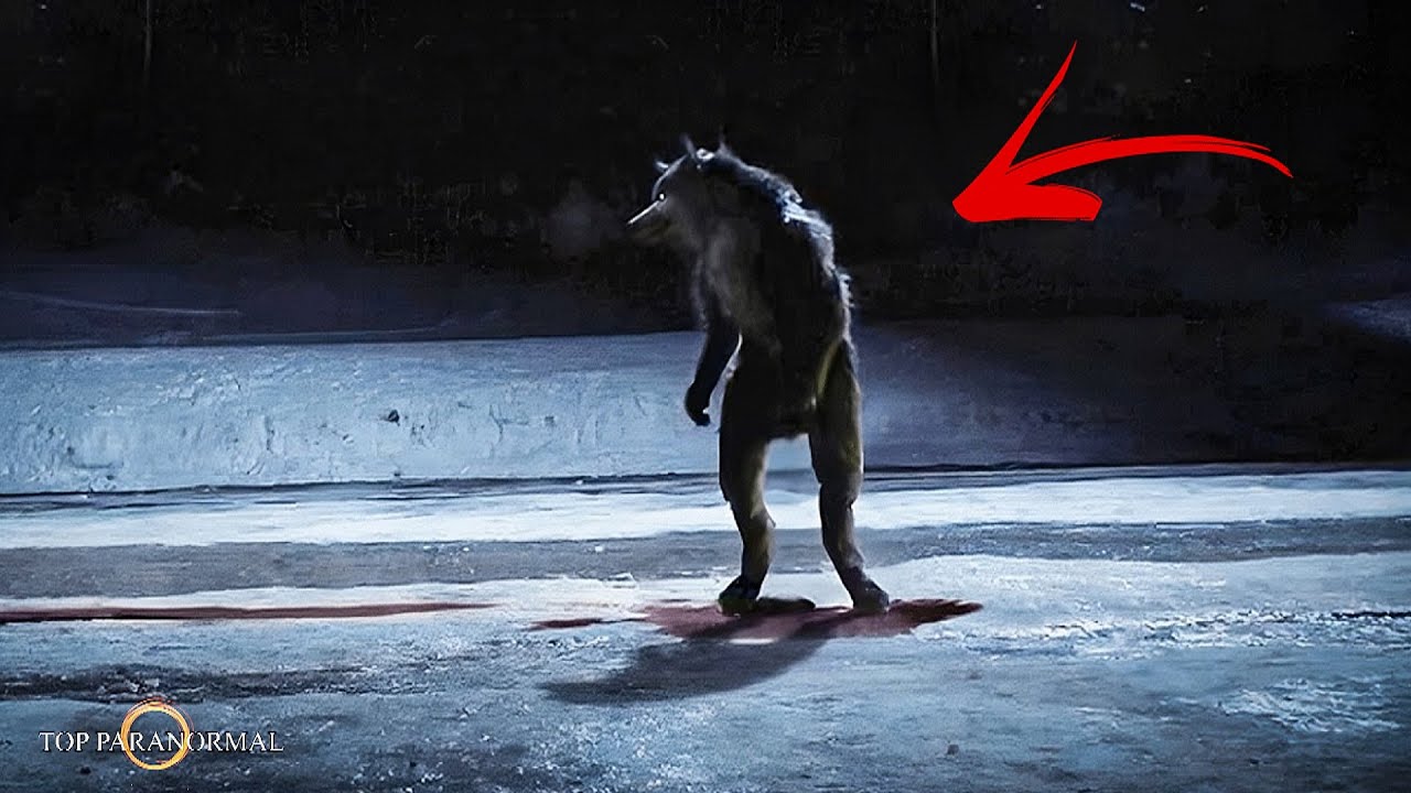 12 страшных видео, в реальность которых вы не поверите / Часть 10