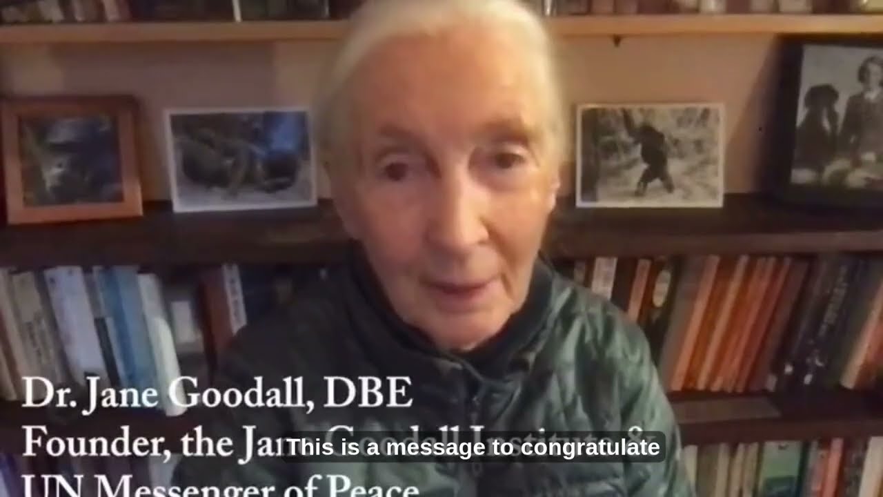 Jane Goodall Endorses Liberia Chimpanzee Rescue & Protection