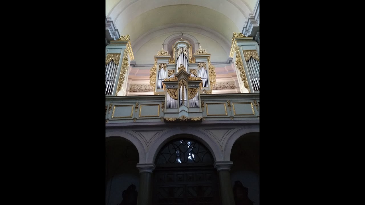 Koniecpol - The Beauty Of Polish Baroque Organ From Before 1659