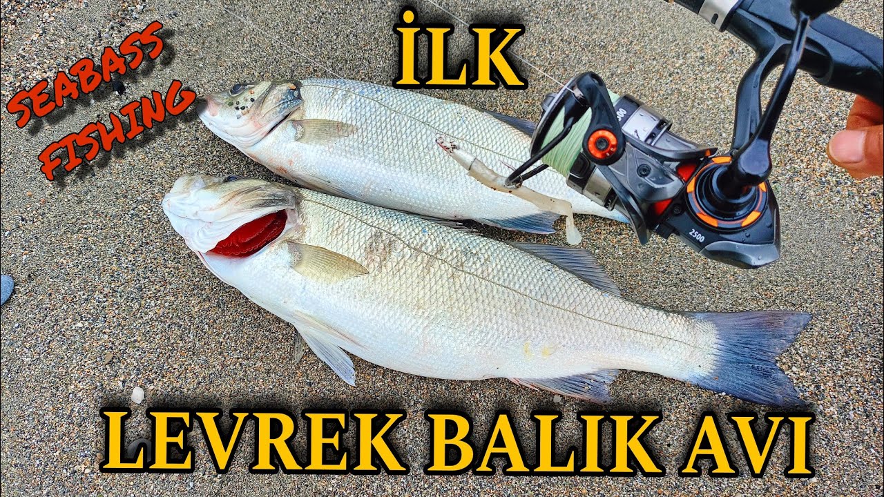 SİLİKONLA_LEVREK BALIK AVI_LRF YÖNTEMİYLE_LIGHT ROCK FISHING/ALANYA #levrekavı