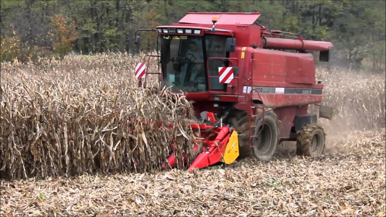 Moisson 2013 en Alsace Case IH 2188 Capello Quasar R6