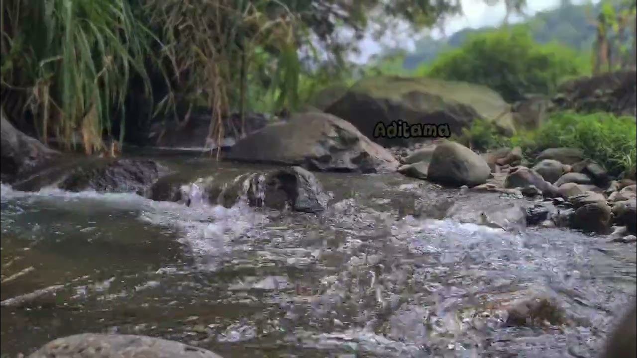 4 HOURS OF LISTENING TO THE BEAUTIFUL AND CLEAR SOUND OF THE RIVER