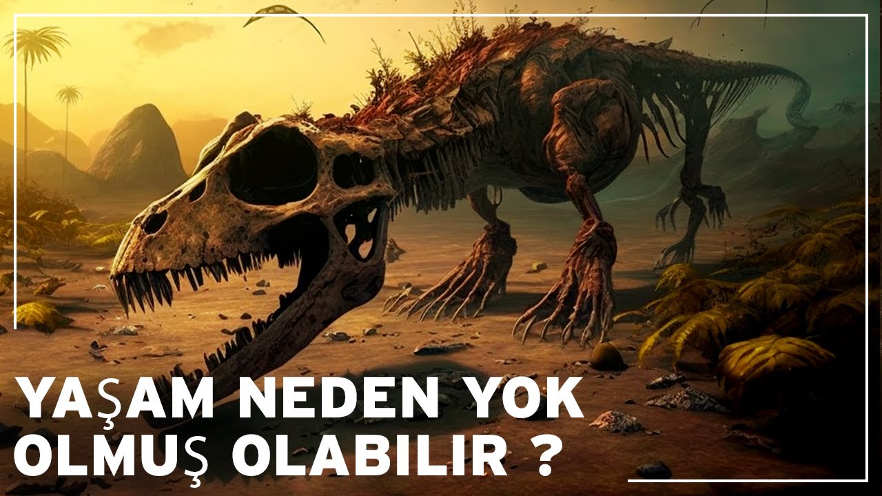 Dünya 5 Kitlesel Yok Oluş sırasında nasıldı ? | Dünyanın Tarihi Belgeseli