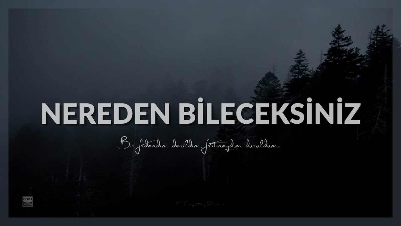 Ahmet Kaya - Nereden Bileceksiniz (SLOWED)