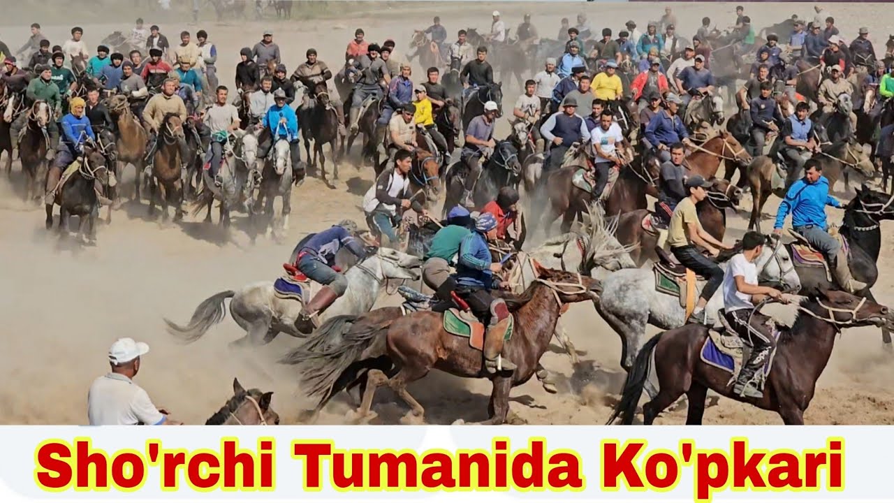 Sho'rchi fumanida ko'pkari. JANGCHI otning egasi Shokir Optomchining ko'pkarisi talablariga binoan.!
