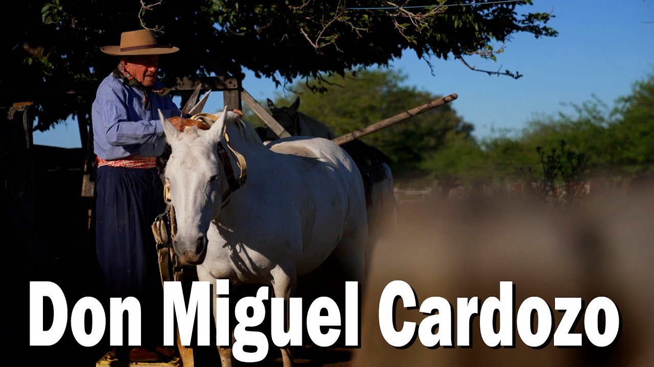 378 Don Miguel Cardozo (Entre Ríos) - Estancias y Tradiciones 