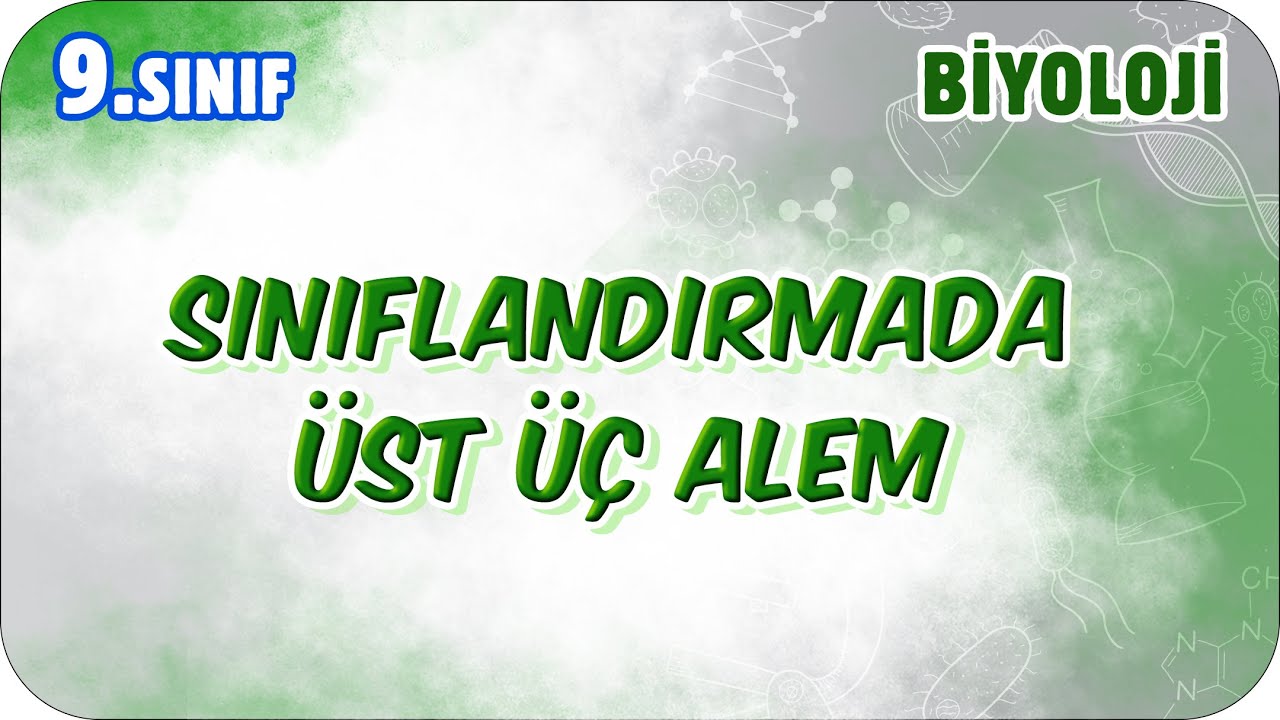 Sınıflandırmada Üst Üç Alem | 9. Sınıf Biyoloji #2026