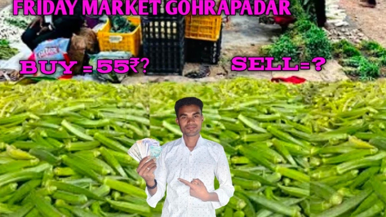 आज मैंने मार्केट में खरीदा देशी भिंडी _55₹ की भाव से ओर इसे बेच के देखिए इतनी ज्यादा प्रॉफिट!😱?