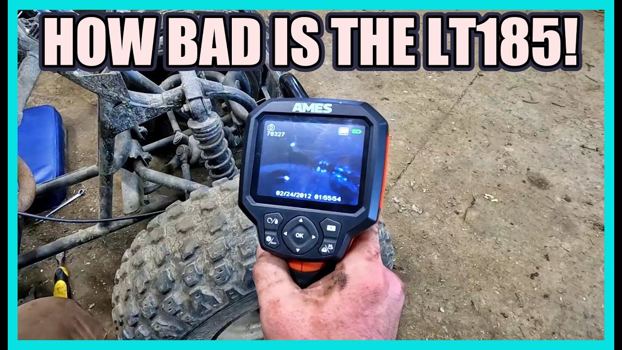 Suzuki LT 185 Tear Down: Can It Be Saved?