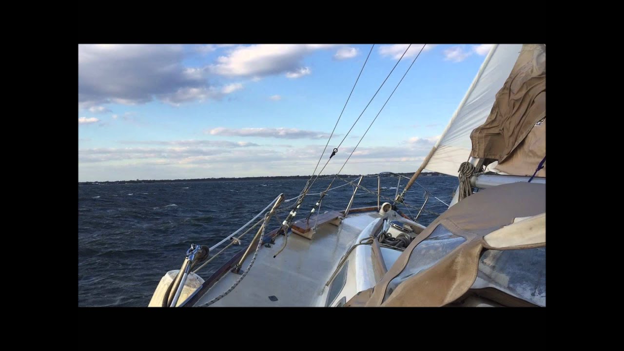 Pelagic Gale Sail Nov 2015