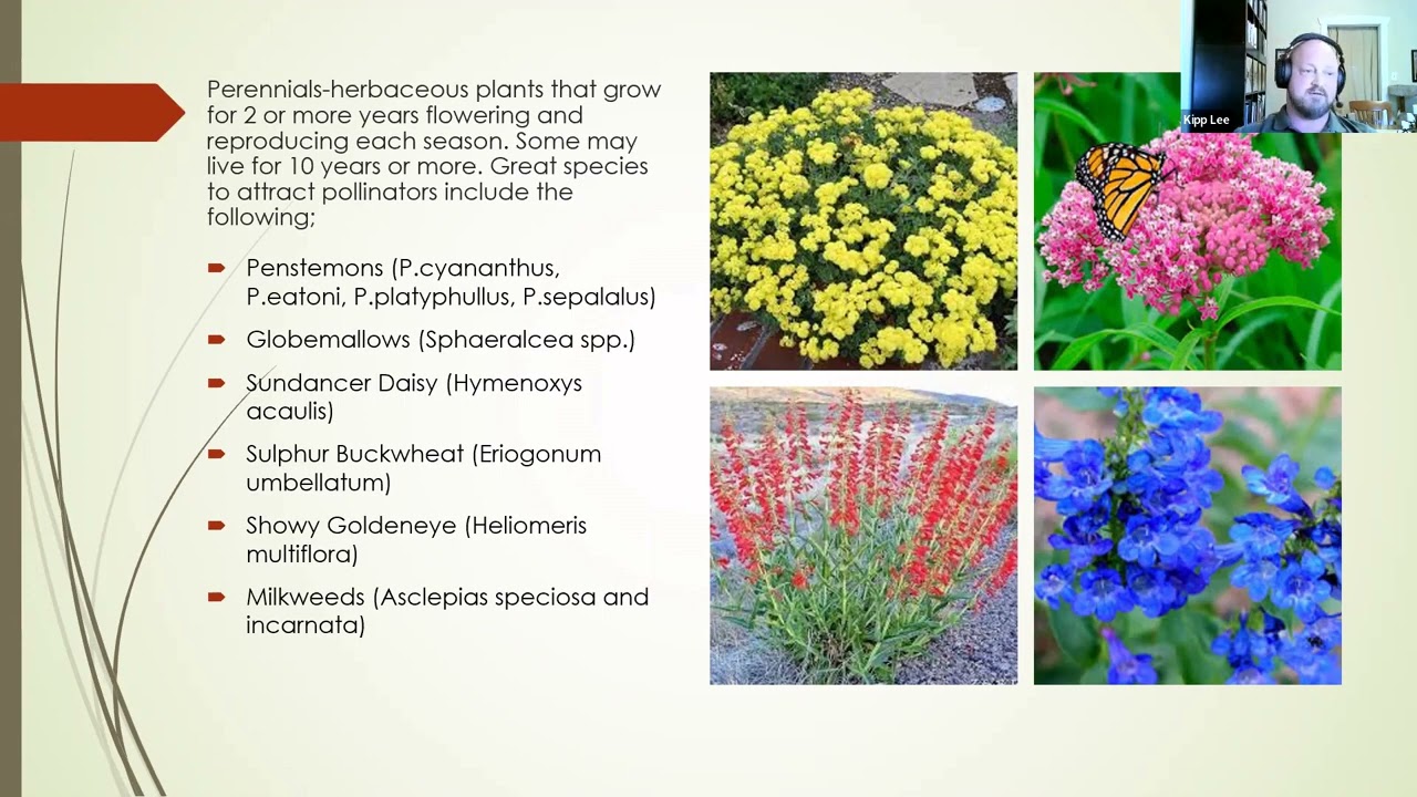 Creating Urban Habitats with Native Plants, by Kipp Lee