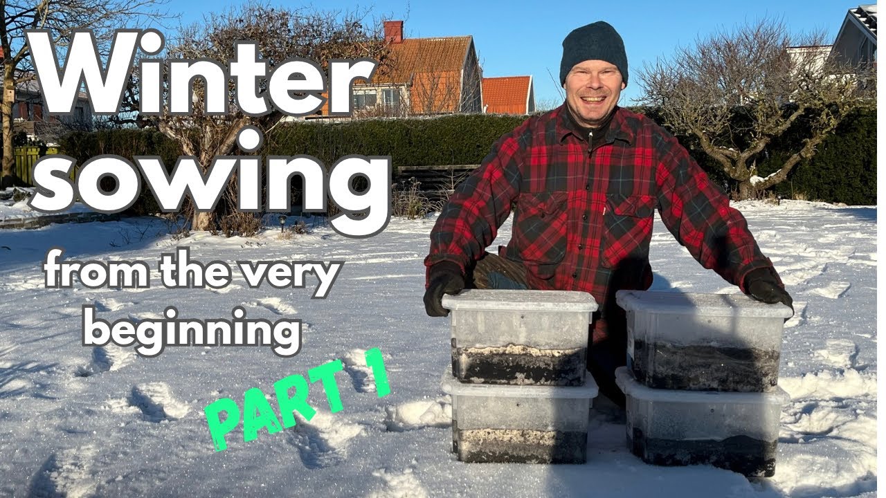 Winter sowing - part 1 | Mid January