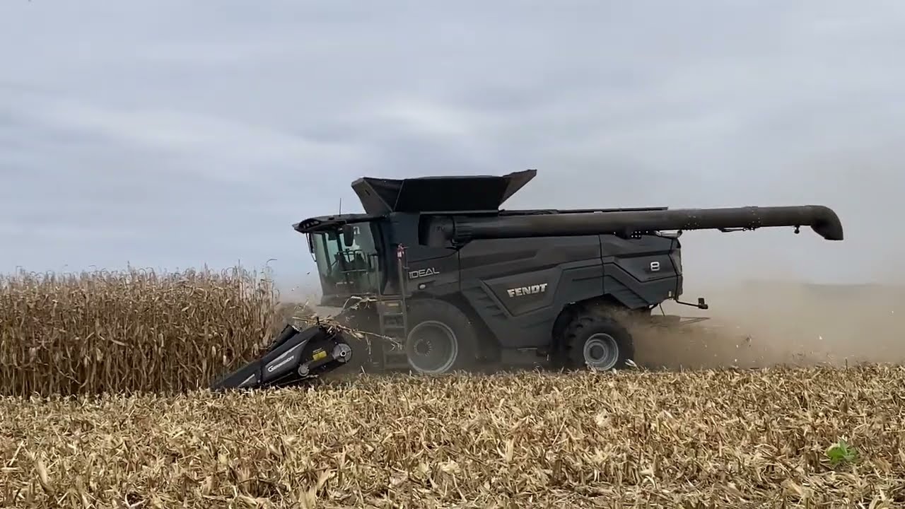 Fendt Ideal 8 Combines Cutting Corn