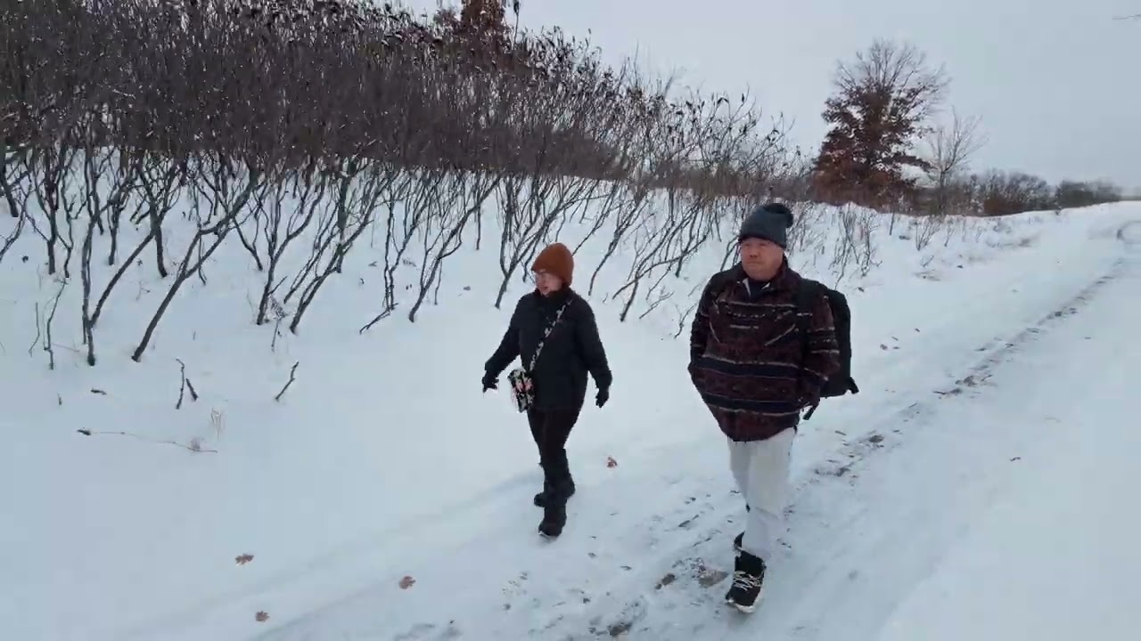 MN winter