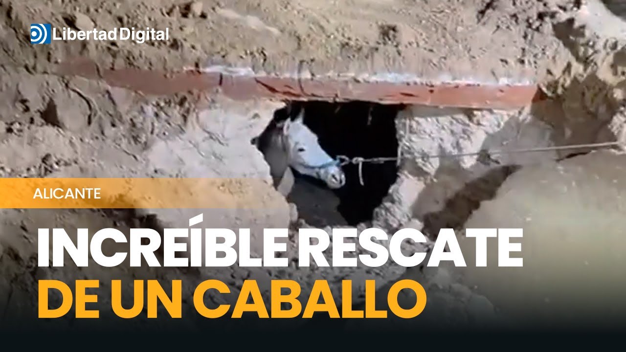 Así ha sido el rescate de un caballo tras caer a un pozo en Alicante